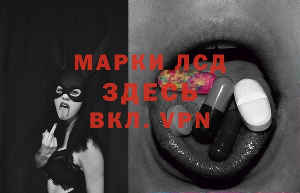 мяу мяу кристалл Корсаков