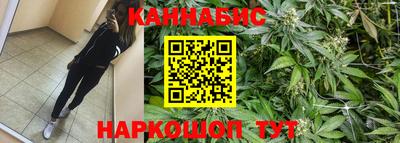 гидра Малгобек