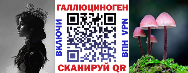 Галлюциногенные грибы прущие грибы  KRAKEN как зайти  маркетплейс наркотические препараты  Малгобек 